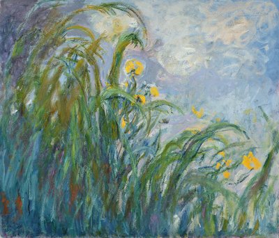 The Yellow Iris by Claude Monet